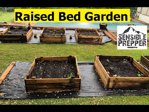 Survival Gardening Budget Raised Beds - TheWorldOfSurvival.Com