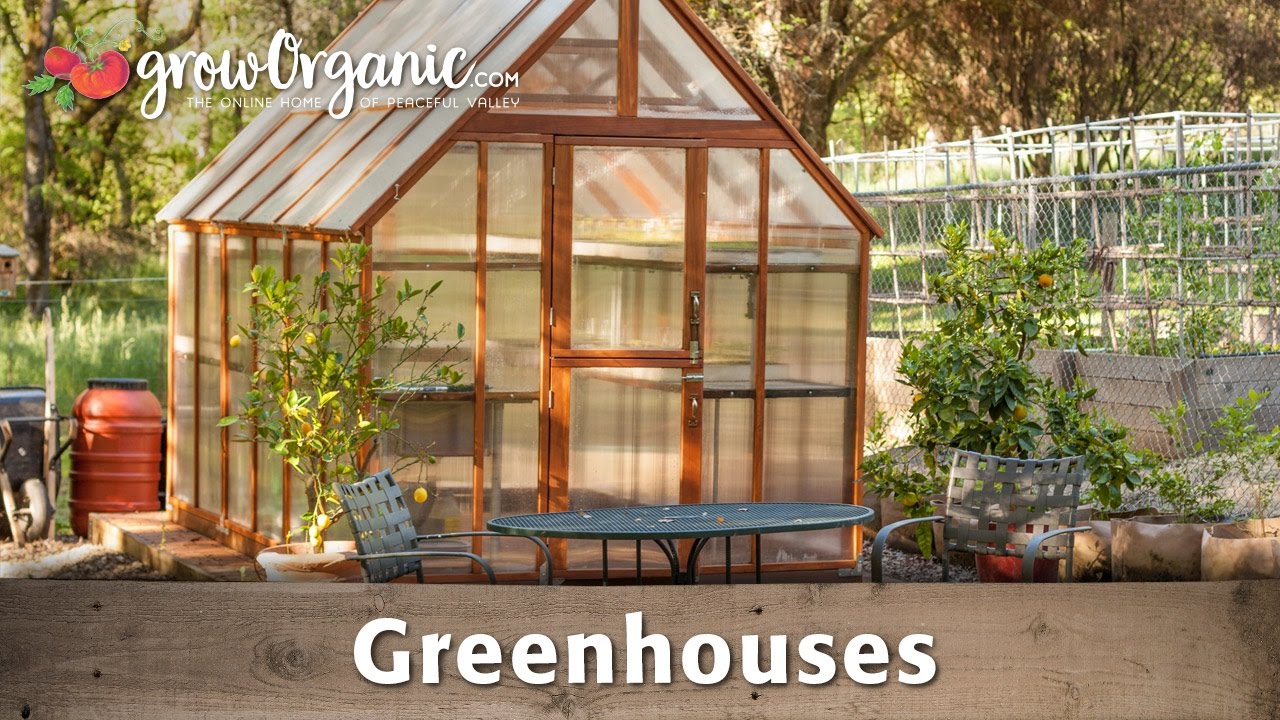 The Beginner S Guide To Greenhouses Theworldofsurvival