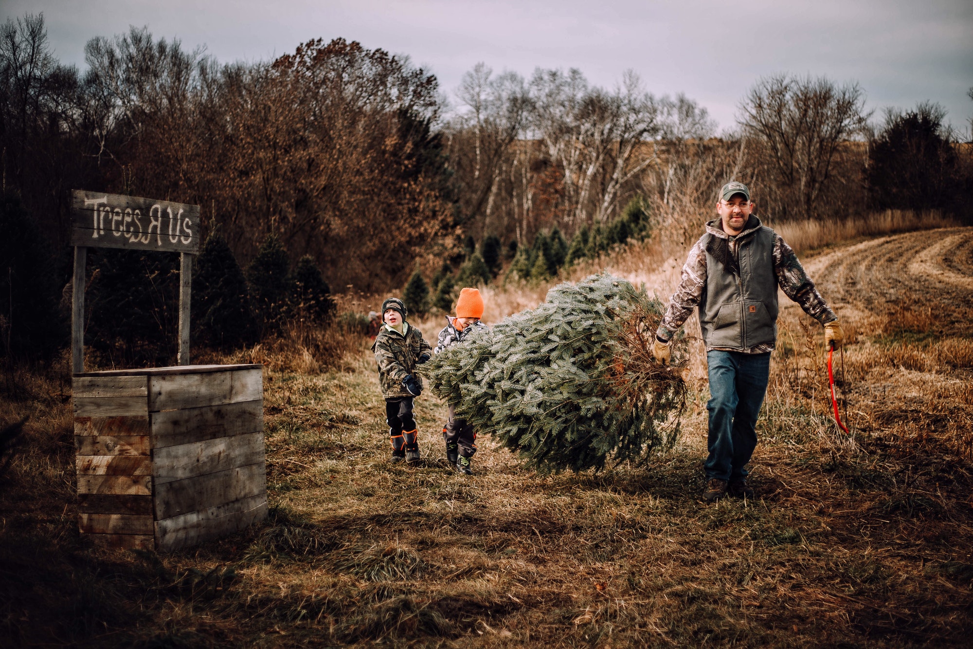 8 Tips For Choosing And Cutting Your Own Christmas Tree - TheWorldOfSurvival.Com