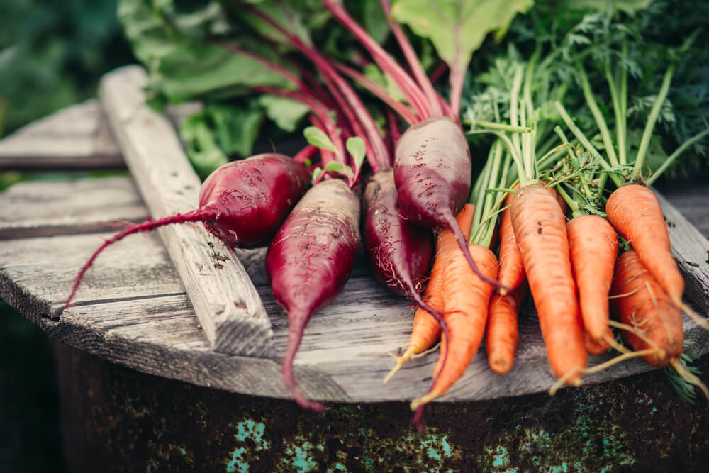 10 Best Vegetables For Alberta [With Advice For Cold Weather Gardens ...