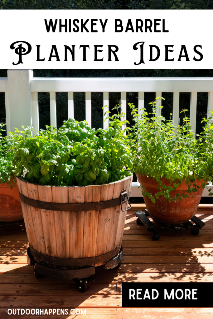 9 Whiskey Barrel Planter Ideas That’ll Brighten Up Your Homestead ...