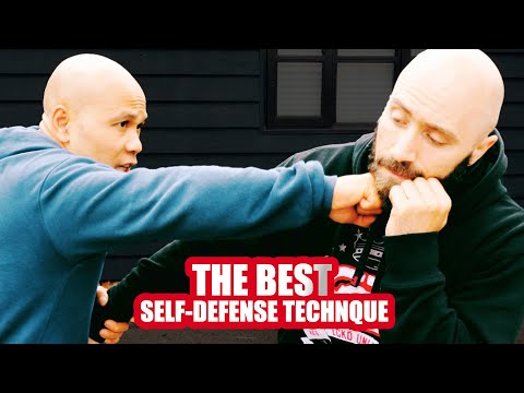 Punching The Face Is The Best Self Defense Technique ...