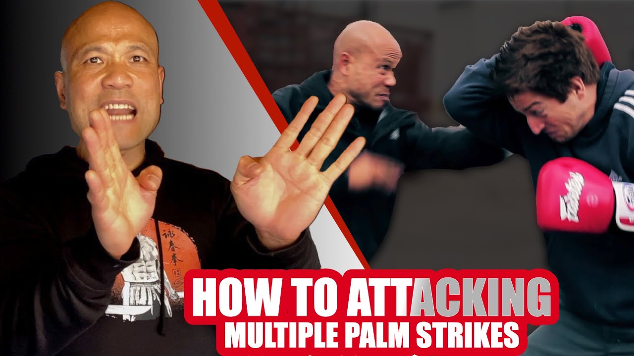 Using Multiple Palms To Attack| Self Defence - TheWorldOfSurvival.Com